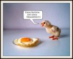 pollo-y-huevo-frito.jpg