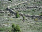 DSCF0693_redimensionar.JPG