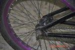 p1pb8195224.jpg