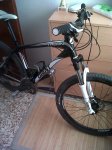 IMG00040-20110726-1338.jpg