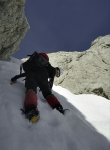 TORRE DEL  TORCO00.jpg