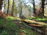IMG_1030.JPG