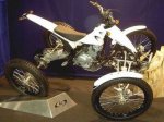normal_quad 1 (Copiar).jpg