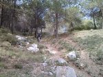 IMG465.jpg
