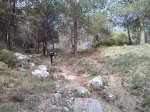IMG466.jpg