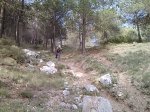 IMG470.jpg