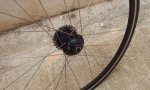 IMG-20120526-WA0002.jpg