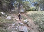 IMG473.jpg