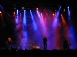IMG_7931.jpg