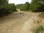 DSC02226.jpg