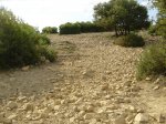 DSC02228.jpg