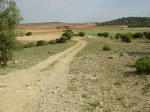 DSC02229.jpg