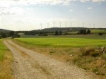 DSC02230.jpg
