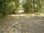 DSC02232.jpg