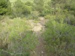 DSC02235.jpg