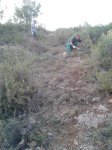 2012-05-16 20.36.37.jpg