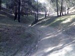 10032007141.jpg