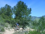 DSC00177.JPG