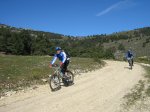 IMG_0395.jpg