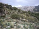 21  10-03-2007 12-45-32.JPG