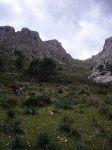 24  10-03-2007 12-47-08.JPG