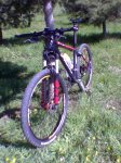 Specialized.jpg