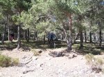 IMG_8652.JPG