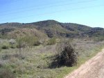 PIC_0037.jpg