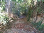 Imagen 006.jpg