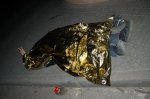 -Dh Sant Andreu '07- 155 (Small).jpg