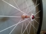 20120601_174159.jpg