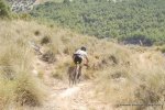 mx12.JPG