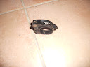 DSCN1298.JPG