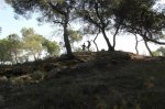 SAM_2353 (Copiar).jpg