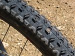 Maxxis ADVantage 1.jpg