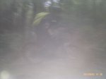 100MEDIA_IMAG0906.jpg