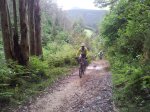 20120603_110610_1024x768.jpg