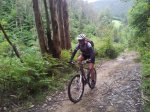 20120603_110623_1024x768.jpg