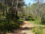 DSC08383.JPG