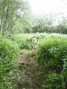 P5270228.JPG