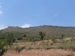 2012-06-02 14.18.28.jpg