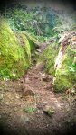 IMAG0430.jpg
