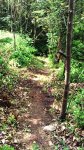 IMAG0421.jpg
