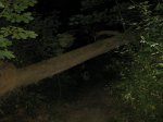 306935_3741270883016_1387991555_n.jpg