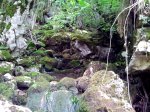 20120602_130733.jpg