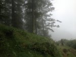 IMG_0468.jpg