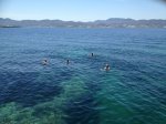 IMG_0547.jpg