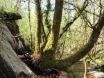 IMG_1069.JPG