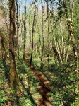 IMG_1073.JPG