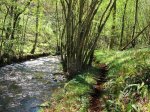 IMG_1081.JPG